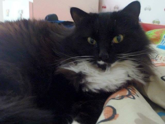 Rita