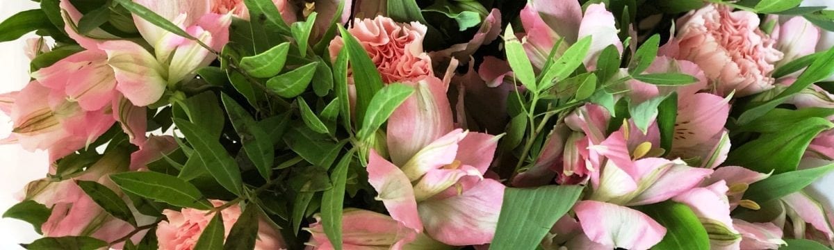 Pretty and Perfectly Pink: 123 Flowers’ Bouquets for all Occasions