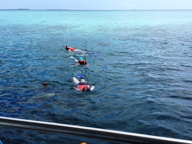 Snorkelling