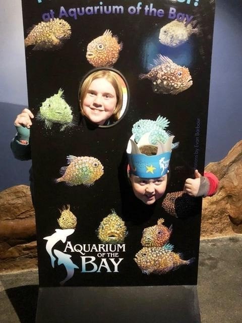 Aquarium