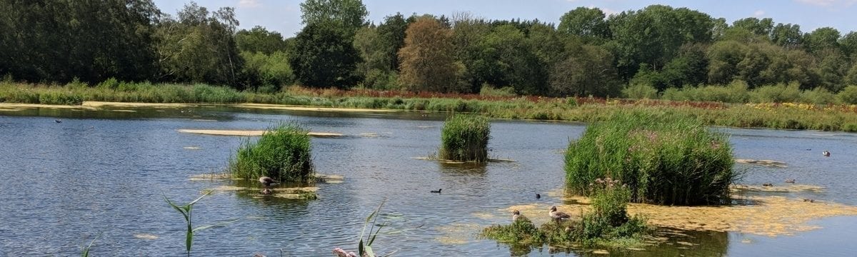 A Visit to Pensthorpe Natural Park, nr Fakenham, Norfolk