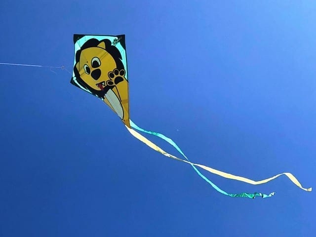 Outdoor Toys