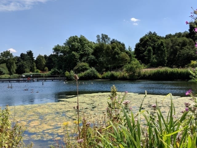 Pensthorpe