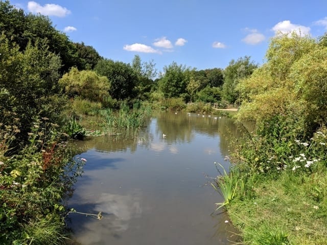 Pensthorpe