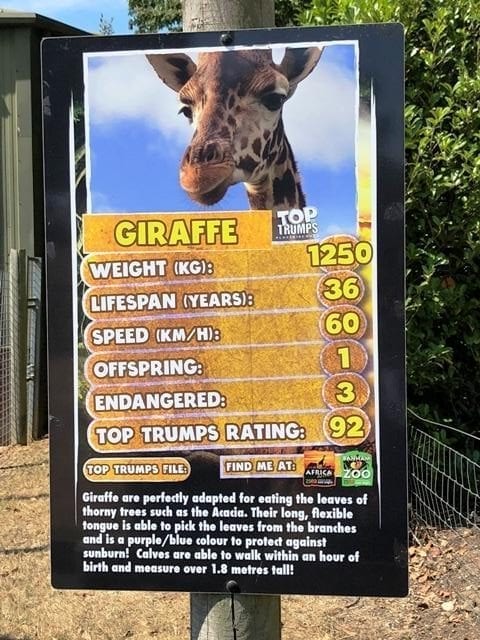 Africa Alive!