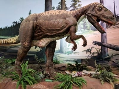 Dinosaur Isle