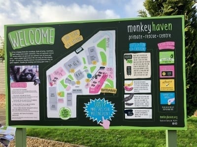 Monkey Haven