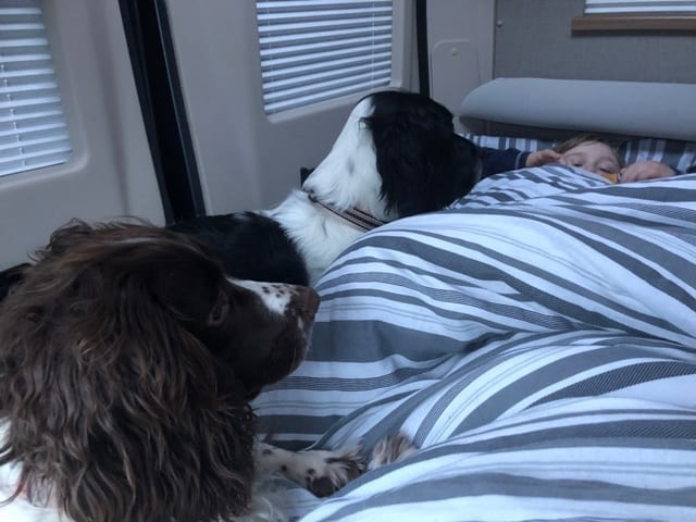campervan