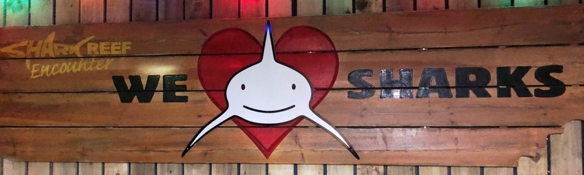 Sea Life London: Half-term Play-Doh Fun