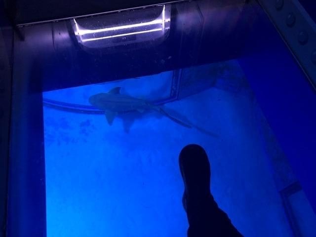 Sea Life London