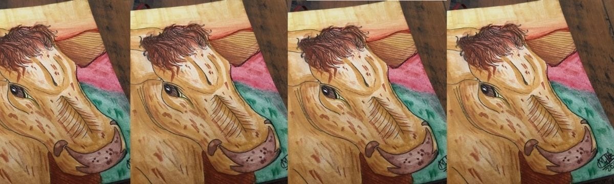 Speed Drawing: Irish Cow | Pen and Watercolour