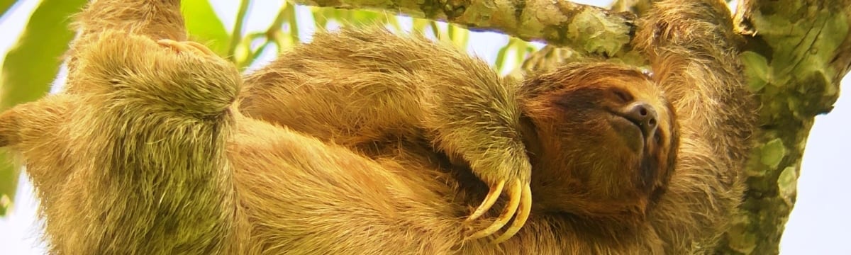 10 Days in Costa Rica: A Rainy Season Itinerary