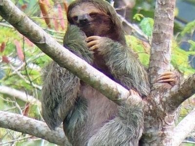 Costa Rica