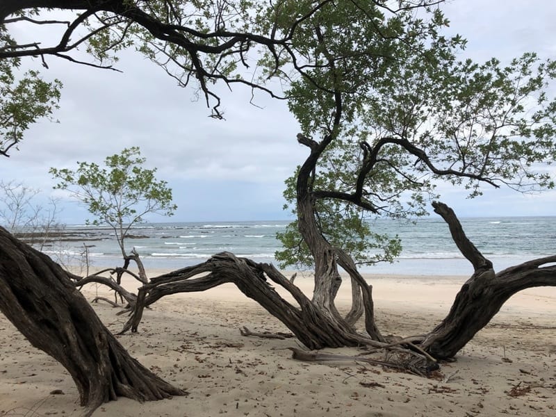 Costa Rica