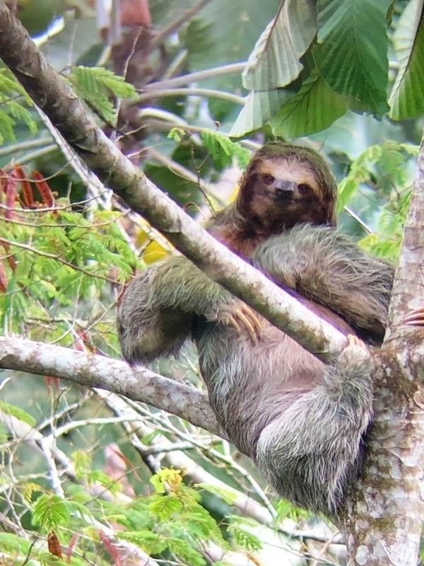 Costa Rica