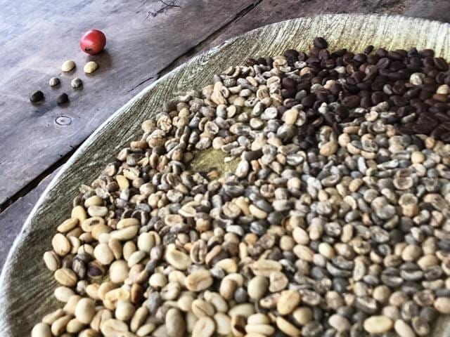 La Fortuna Costa Rica drying coffee beans