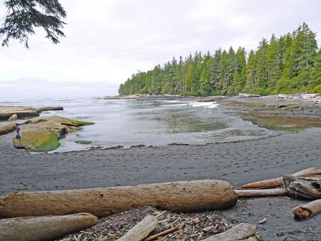 Juan de Fuca Trail