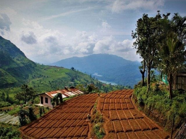 Sri Lanka Nuwara Eliya