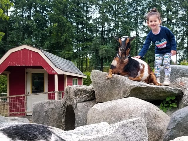 Maplewood Farm