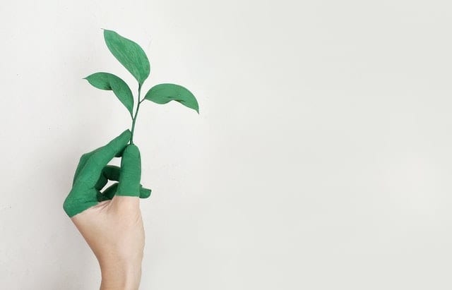 environmentally friendly
