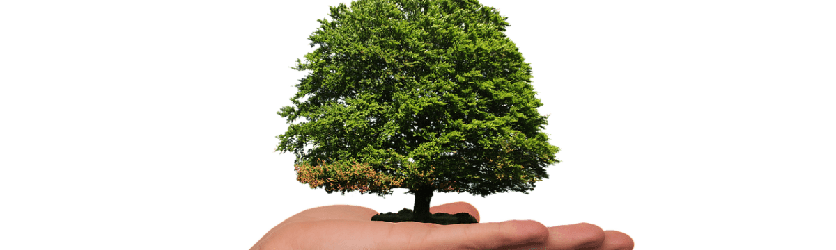 How to be More Environmentally Friendly