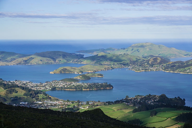 Dunedin