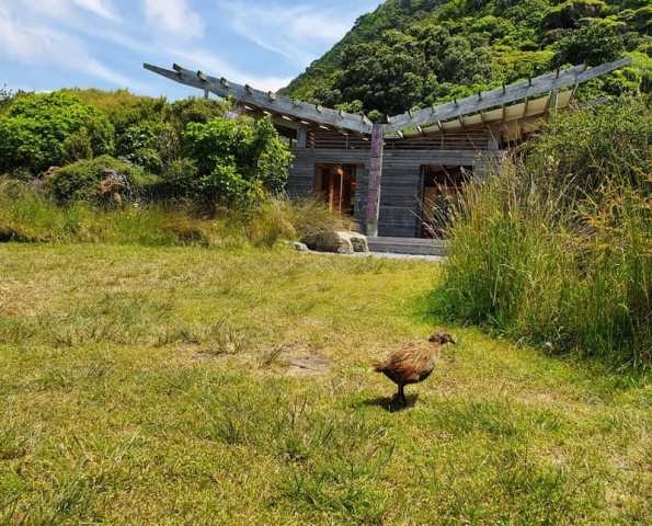 Kapiti Island