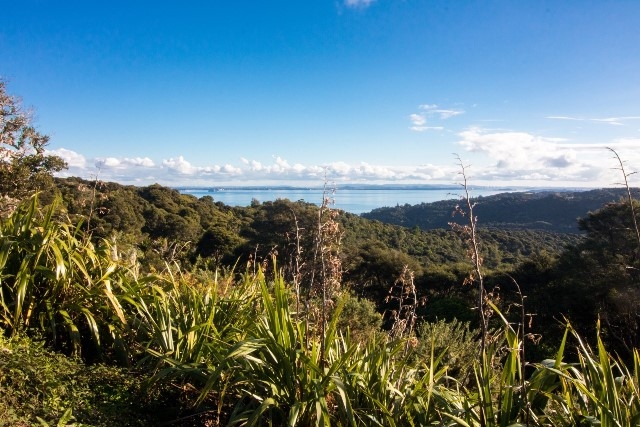 Waiheke Island