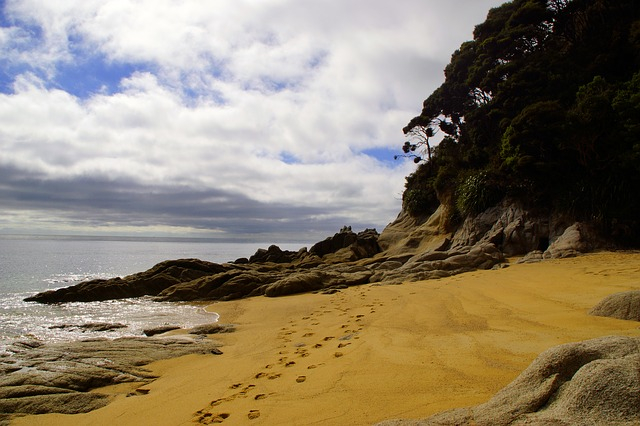 Abel Tasman Coast
