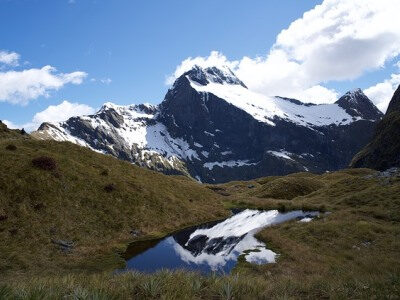 new zealand