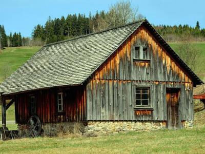 black forest