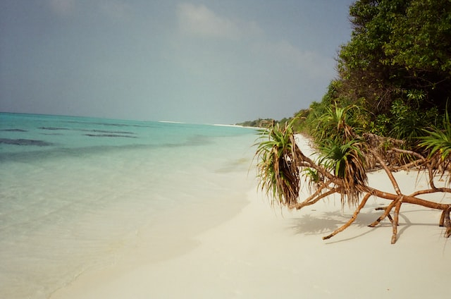 Maldives