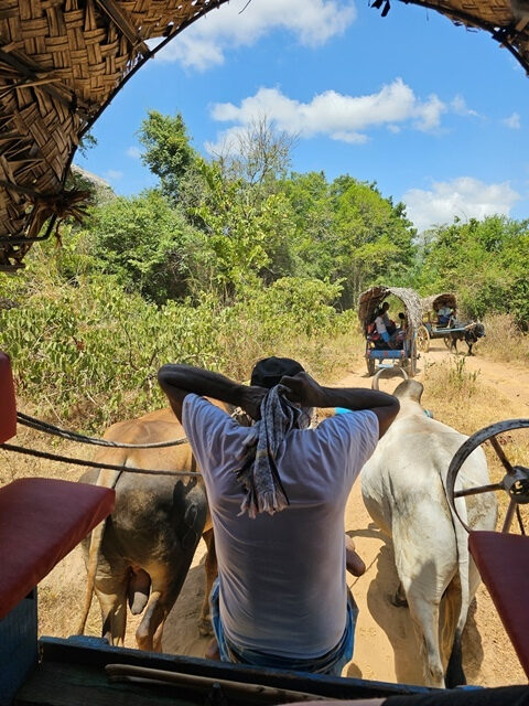siguriya