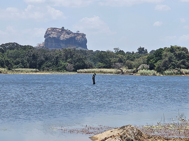 siguriya