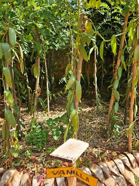spice garden