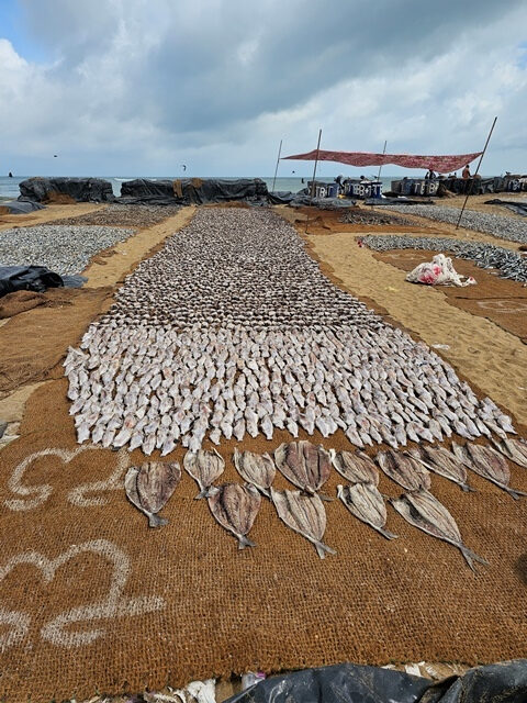 sri lanka