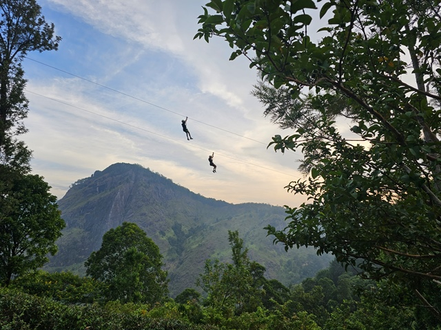 zipline
