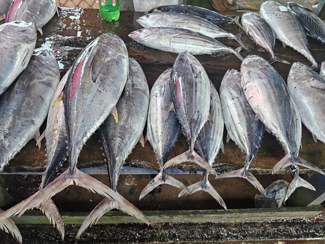 sri lanka