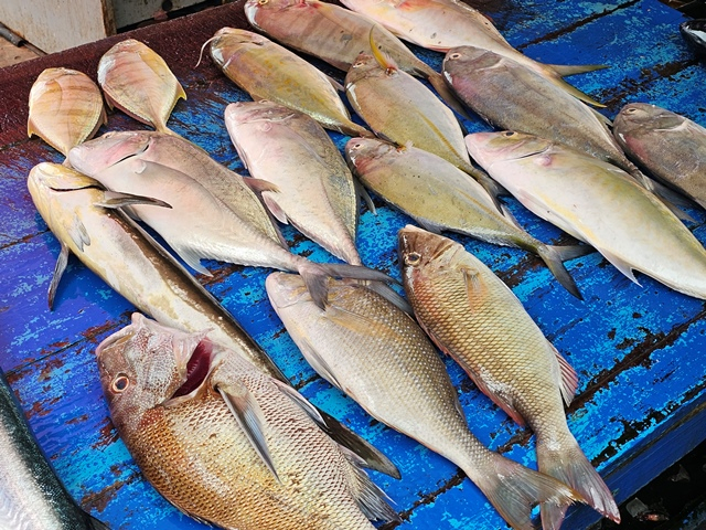 sri lanka