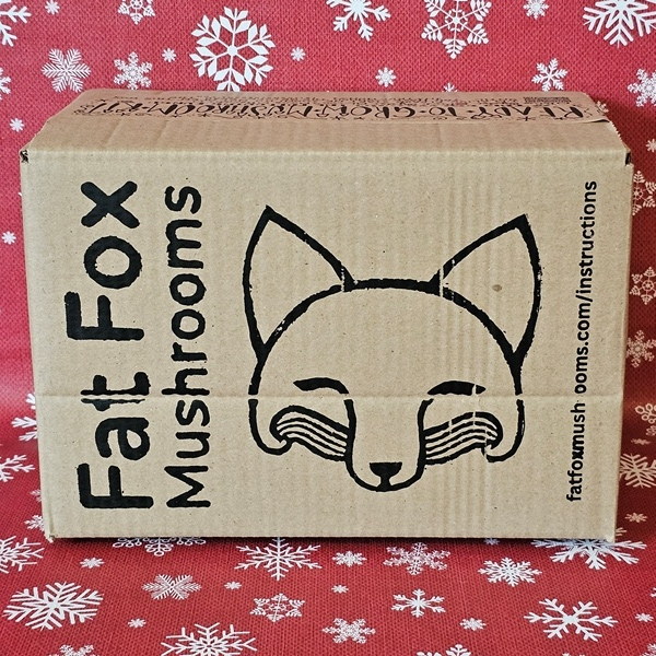 PINK OYSTER MUSHROOM KIT FAT FOX FOR HER