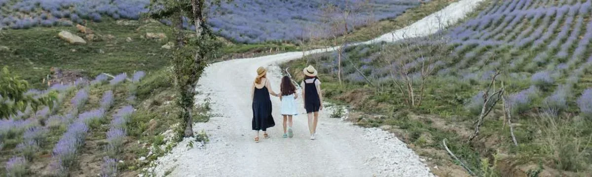 Five Reasons to Take a Walking Holiday