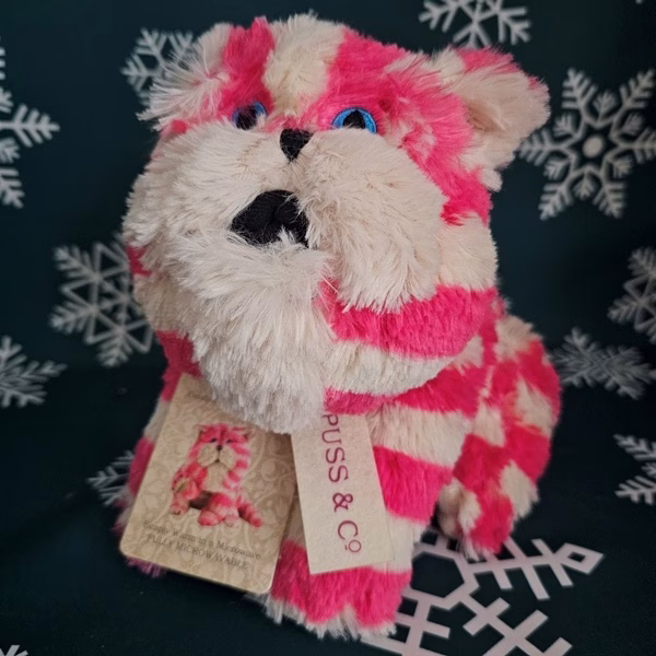 Gift guide for Teens