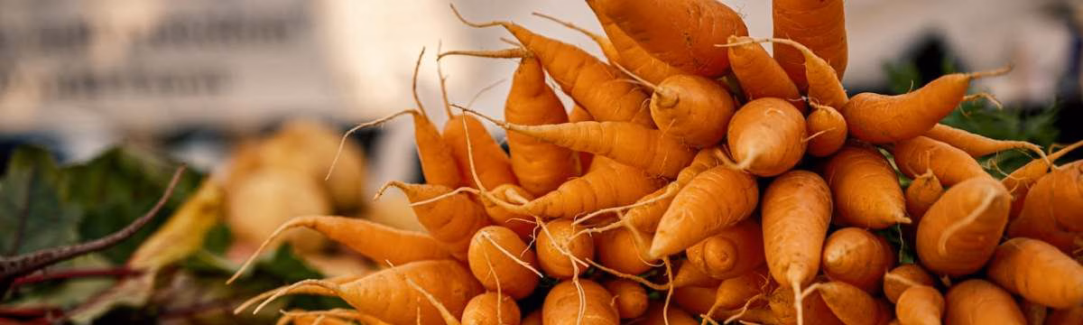 Growing together: Why your family needs a vegetable patch