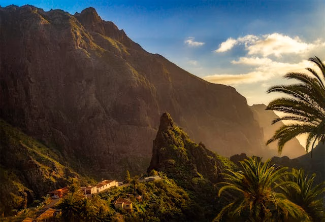 canary island