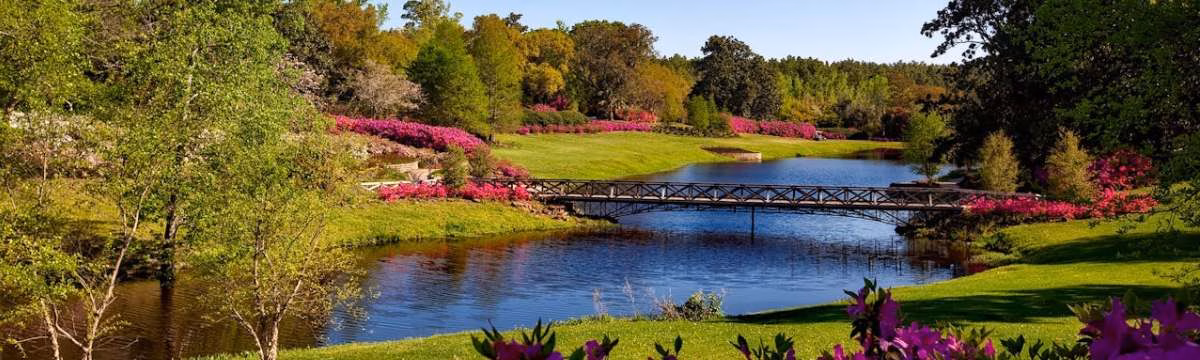 Why nature is the best escape from your screen