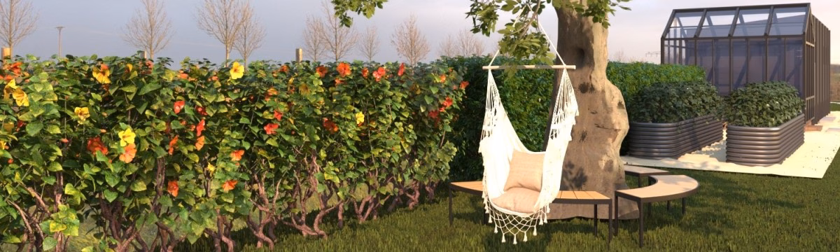 Project: Garden Renovation!